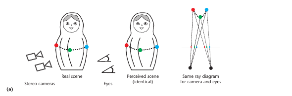 Stereo camera and eye ray diagrams illustrated with matryoshka dolls